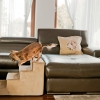 Schody dla psa lub kota Amibelle Atlanta 40cm beżowe (2)