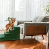 Schody dla psa Amibelle Atlanta 40cm zielone (1)